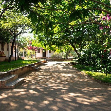 The Mountain Retreat Hotel Tiruvannāmalai Exterior foto
